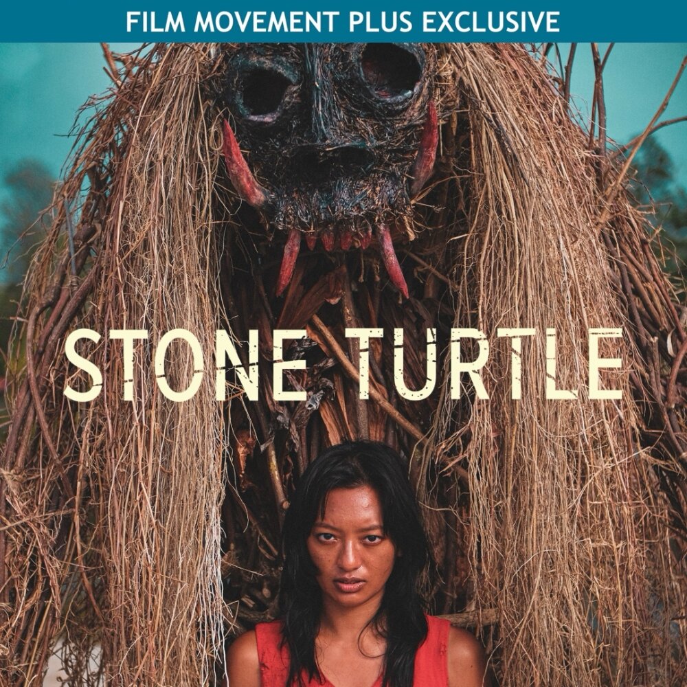 Stone Turtle